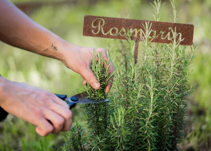 Sport- Und Wellnesshotel Held 4 Sterne Superior Fügen